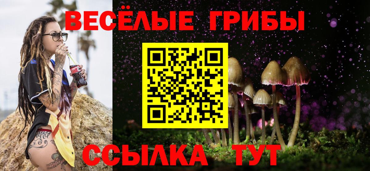 Галлюциногенные грибы GOLDEN TEACHER Избербаш